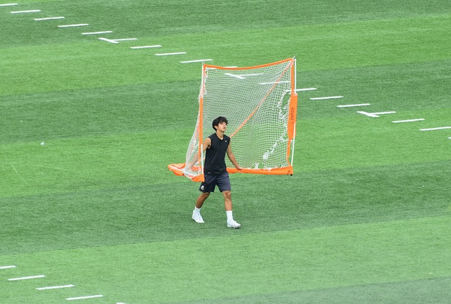解决的问题