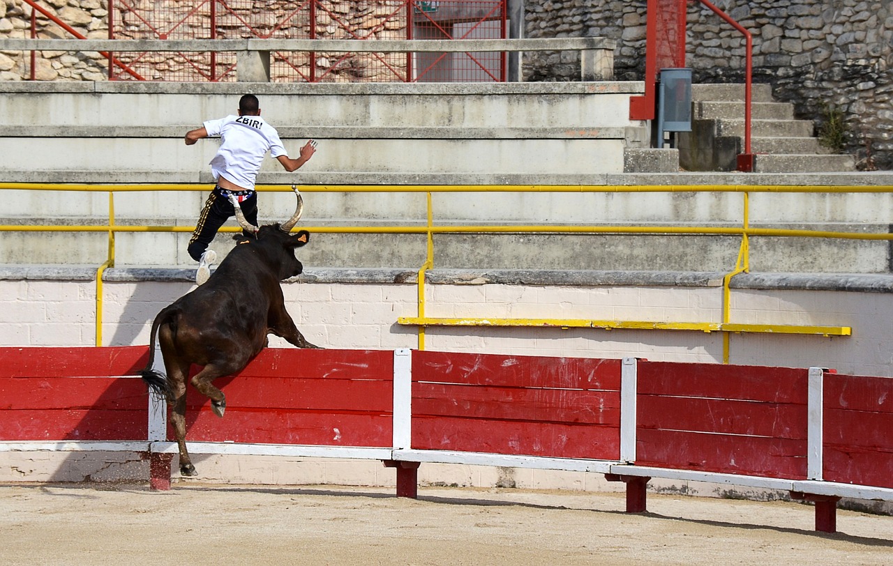 之路正是基